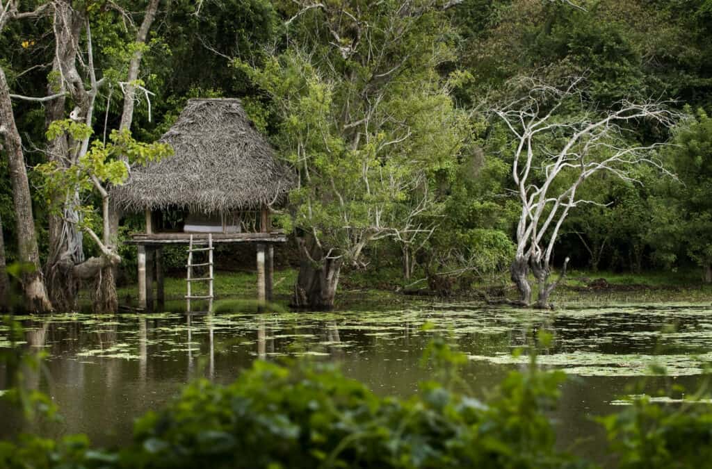 Outside Ulpotha Yoga & Ayurveda Retreat, a retreat in Sri Lankan jungle.