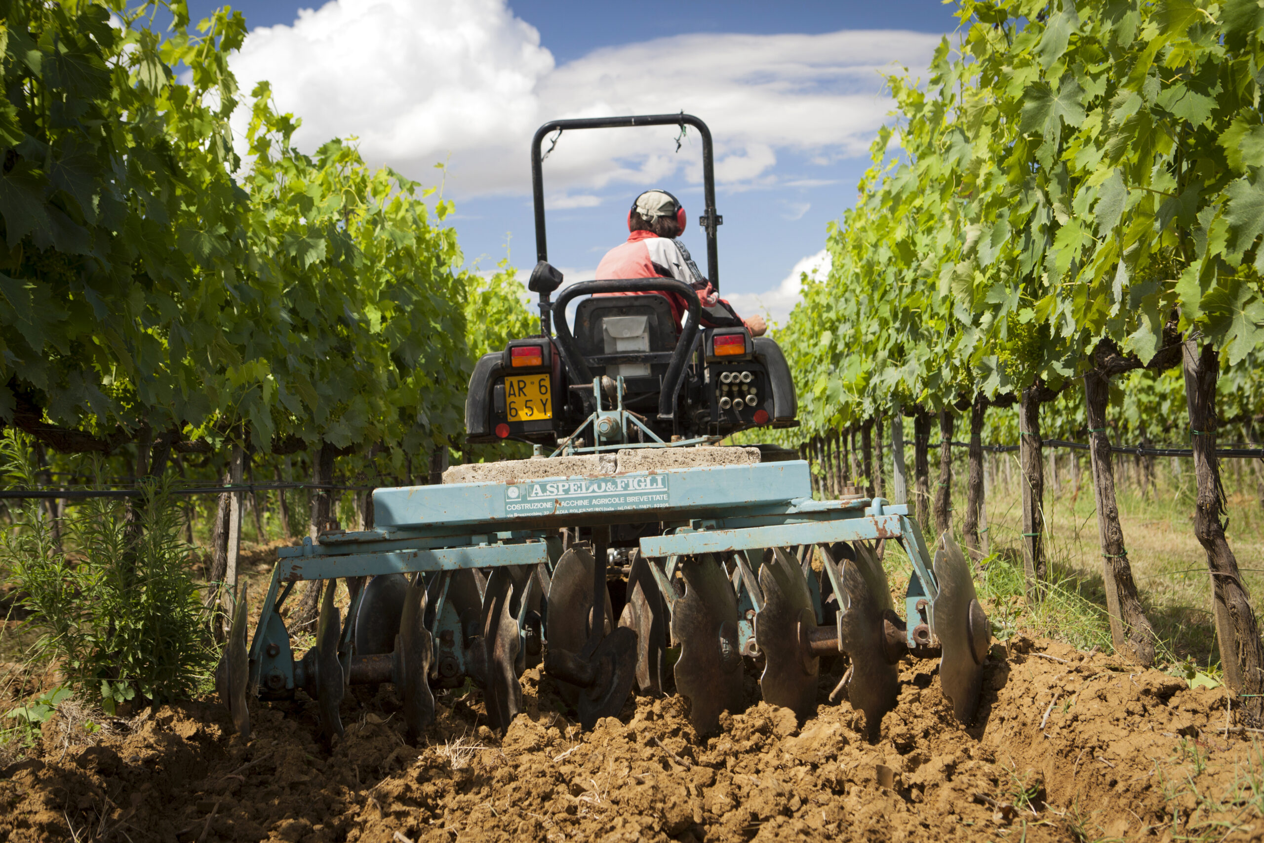 Person on a tractor in the winery fields.