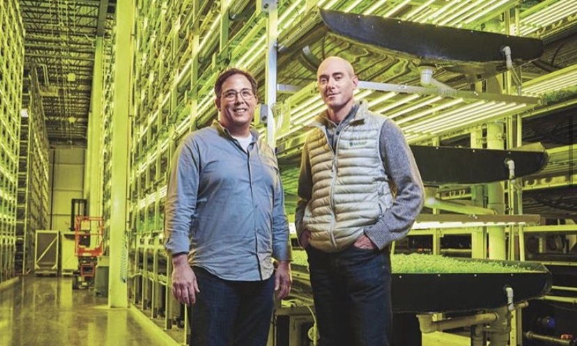Portrait of Mark Oshima and David Rosenberg, co-founders of the vertical farm AeroFarms.