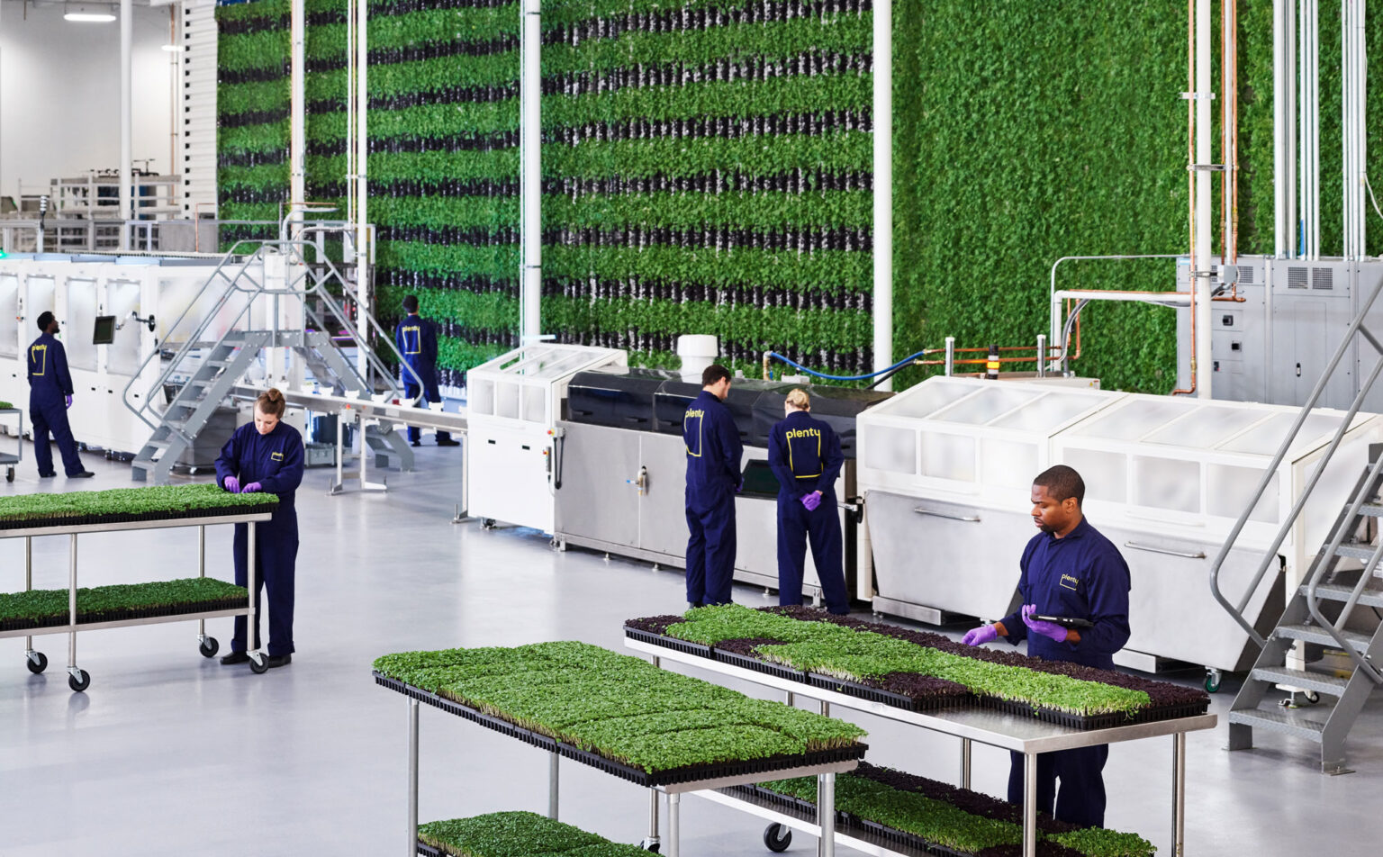 Plenty indoor vertical farming