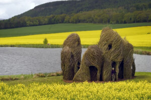 Stick sculptures found close to a lake. Yellow flowers and a distant forest surround the installation.